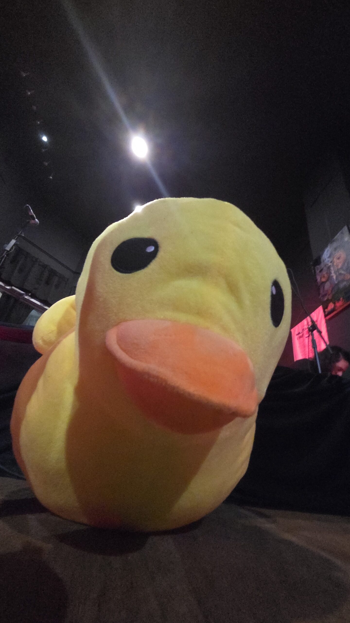 Watersdeep ducky